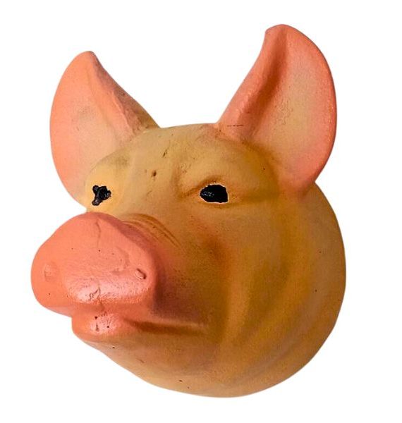 Pig wall art