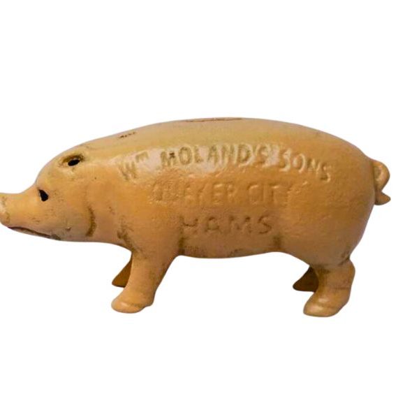 Pig