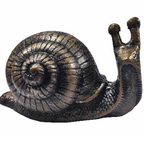 Snail