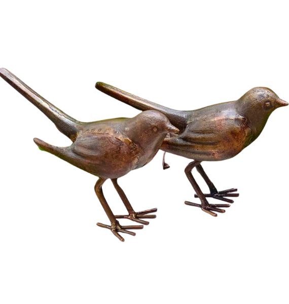 Bird Pair