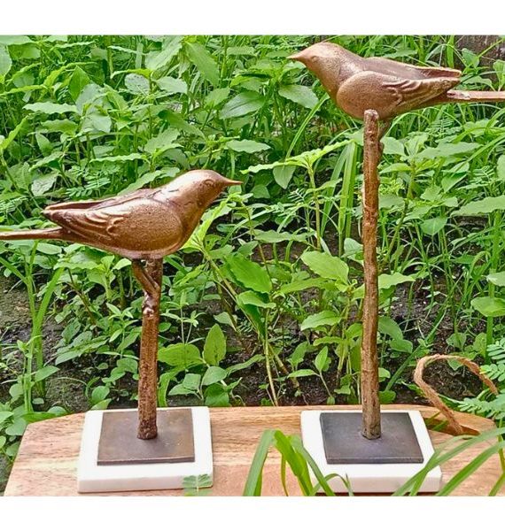 Bird Pair